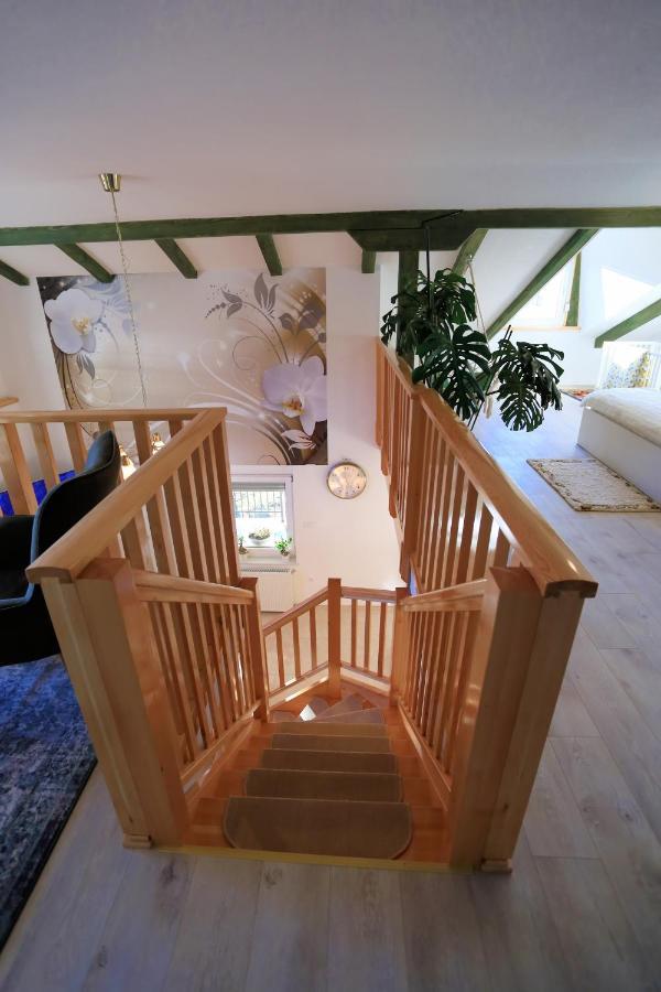 Luxury Apartman Alex With Sauna In The Village Otočac Buitenkant foto